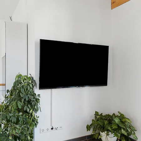 Apartamento Casa - *