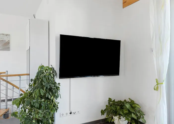 Appartement Casa - *